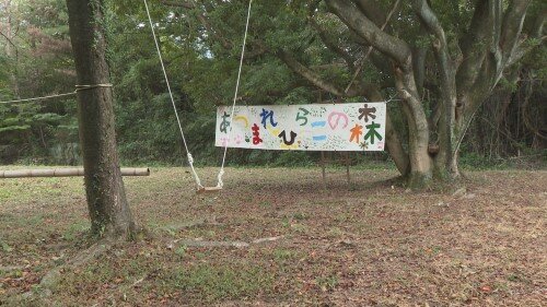 231111-a (500px).jpg