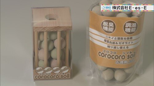 0929 株式会社E-es-E (2).jpg